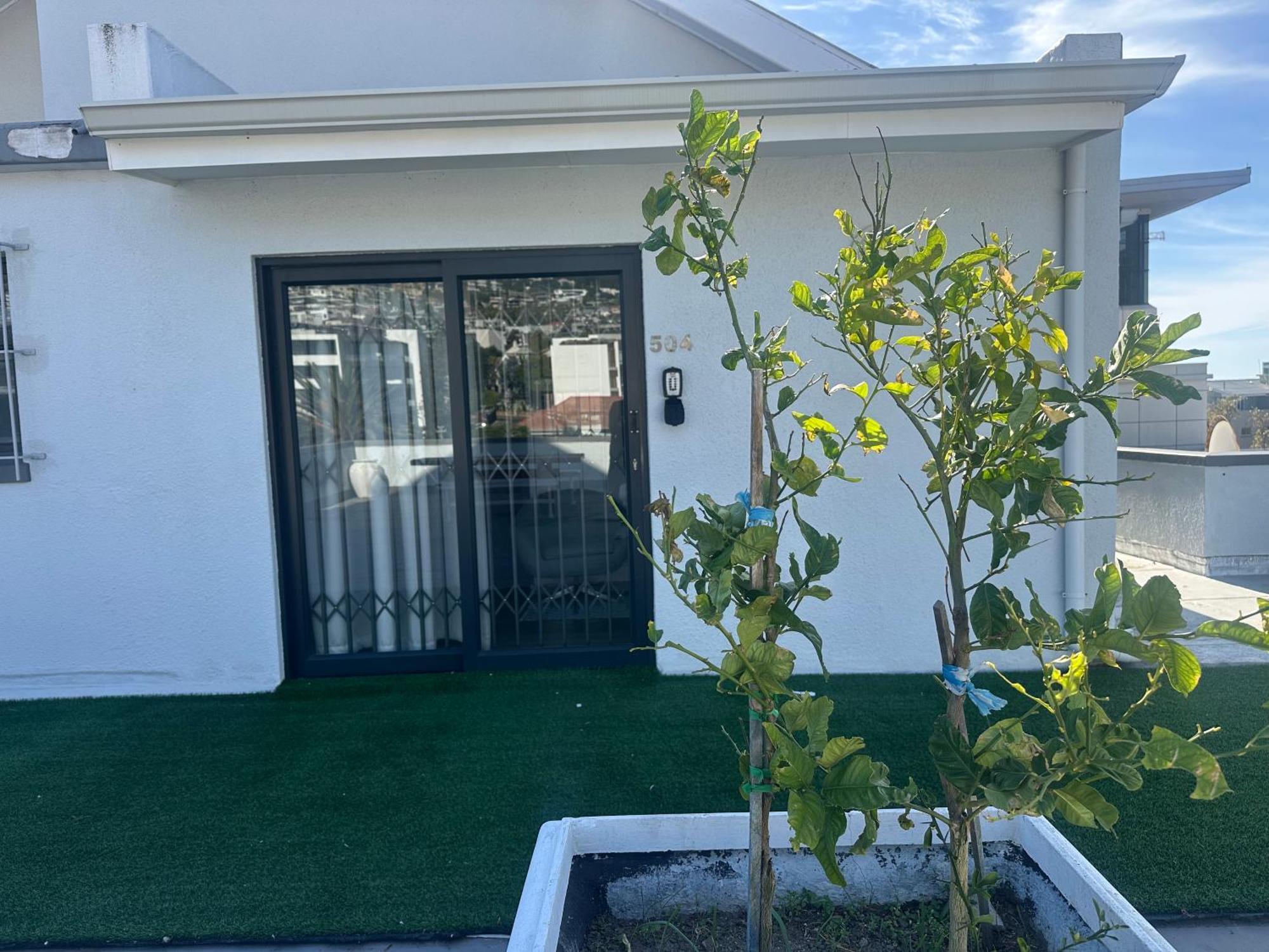 Camborne Holiday Apartments Cape Town Exterior photo